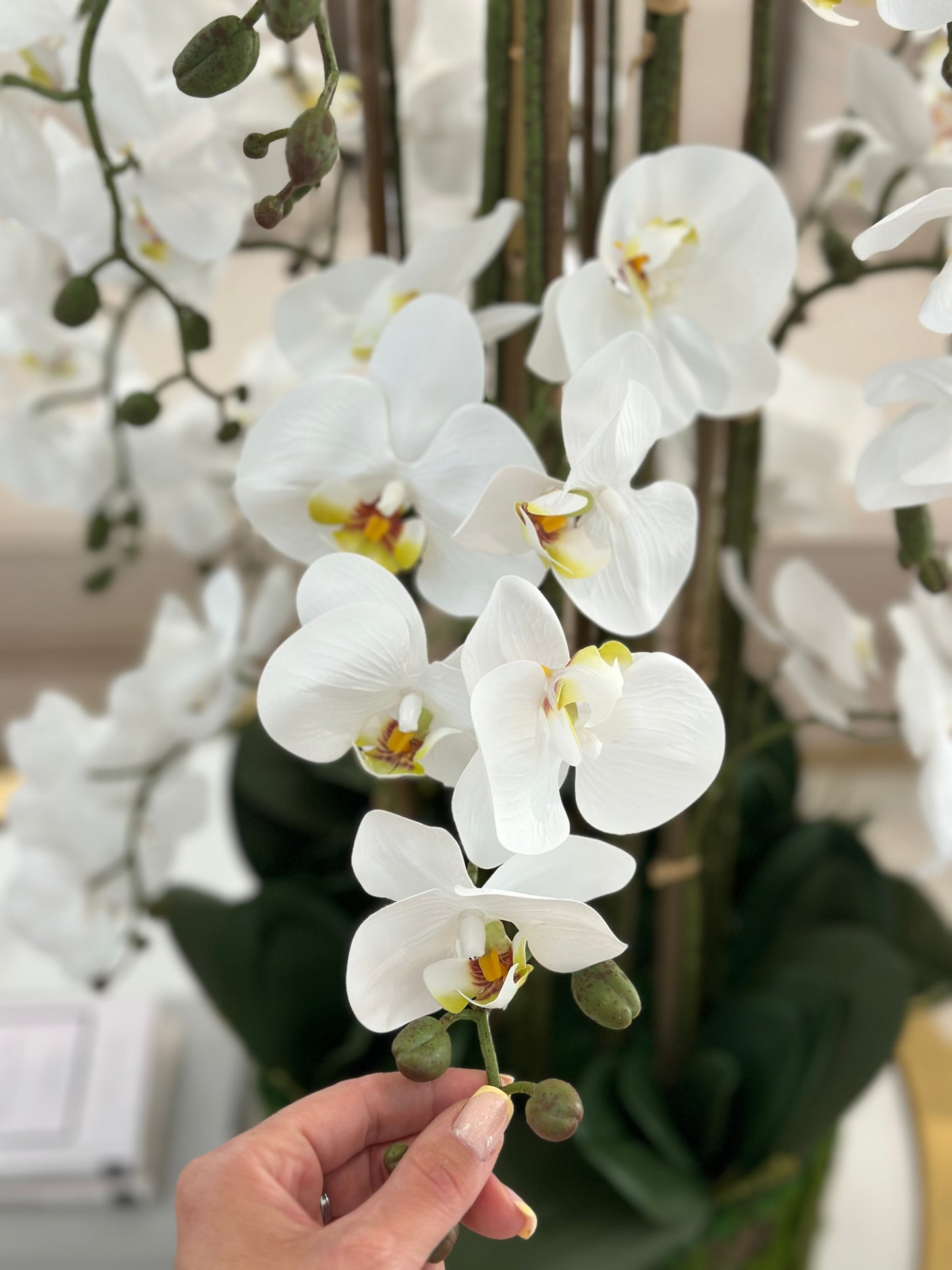 Luxusná 3D orchidea 135 cm x 37 cm